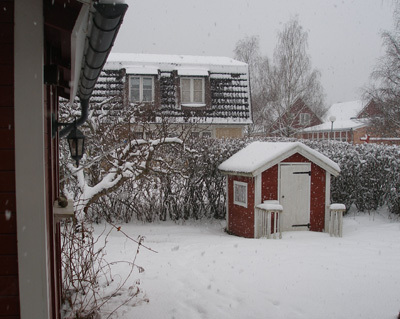 Utsikt från köksfönstret.