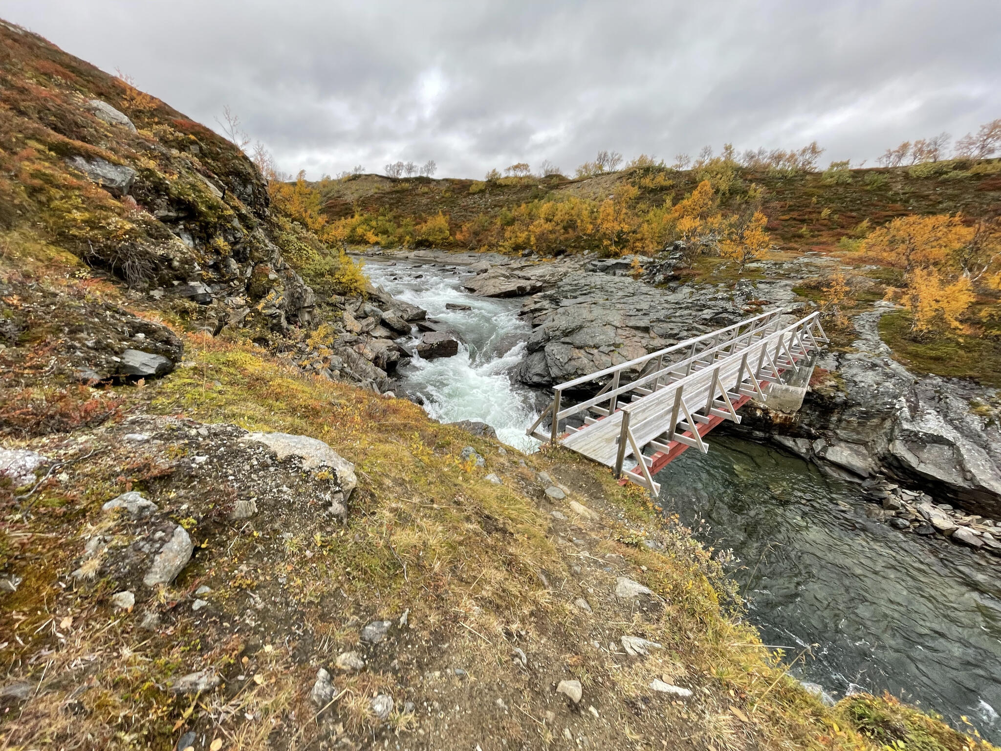 Bron över böljande Storforsen