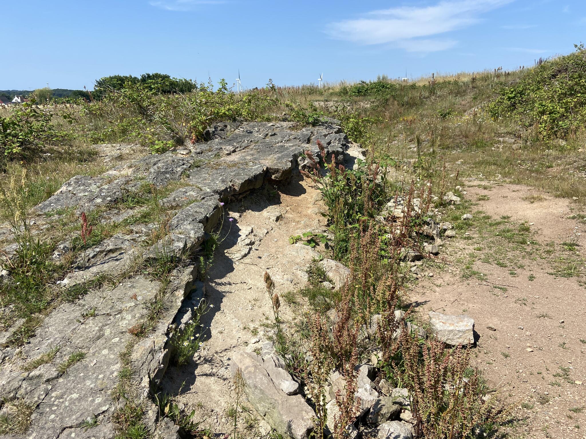 Från museet kan man gå till en geologiskt intressant plats där en förkastning syns. Många miljoner år skiljer på en meters avstånd.