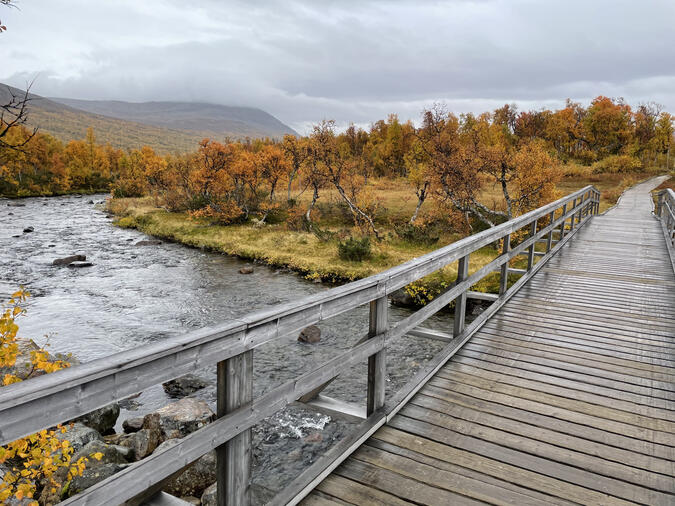 Bron över Stor-Ulvån