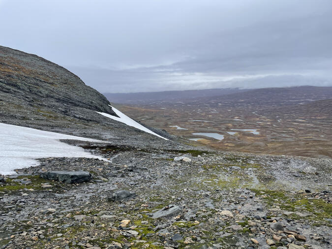 Utsikt från Ekorrhammaren mot öst