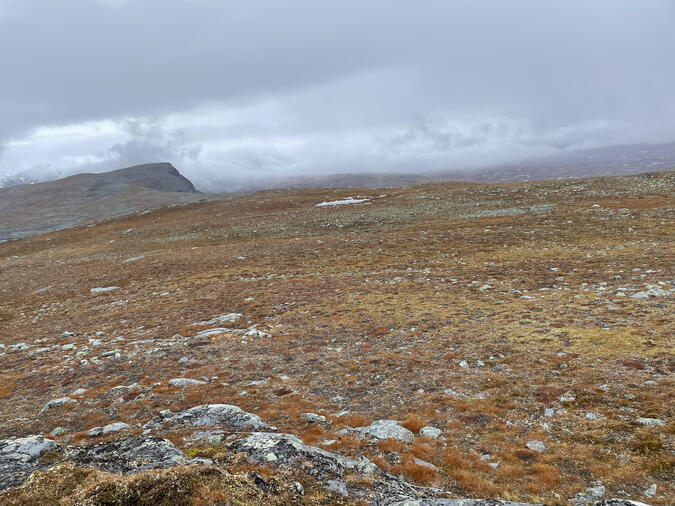 Vy bakåt mot Ekorrhammaren