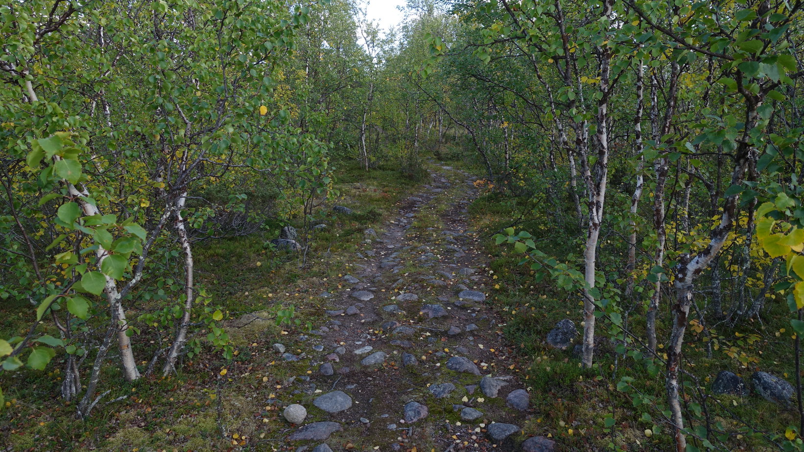 Abisko 103a_resize.JPG