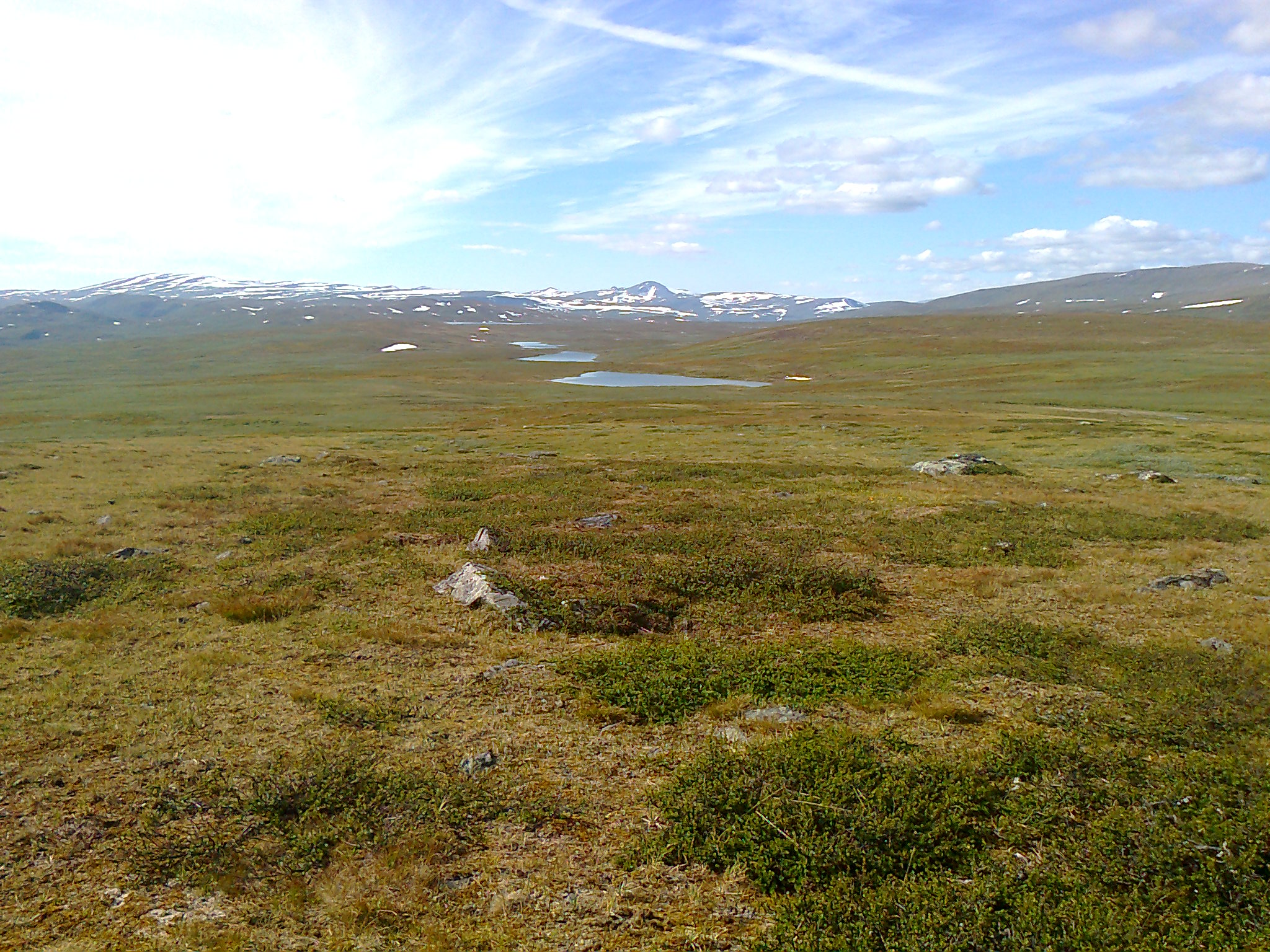 Fjällen 2014 019.jpg