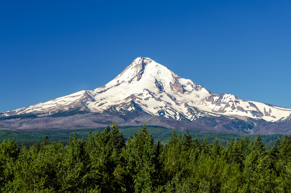 Mt-Hood.jpg