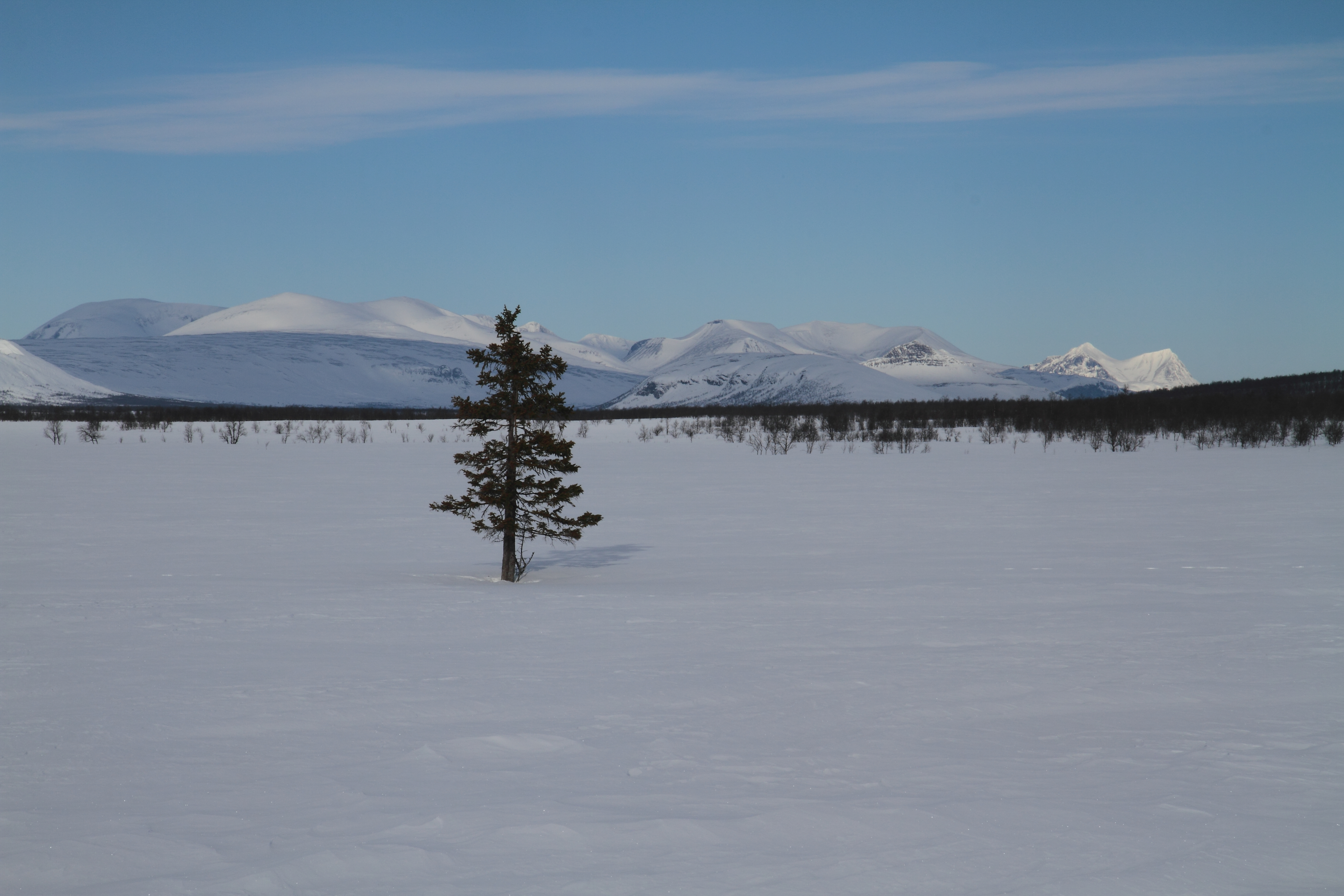 Muddus_Abisko_Turen0133.JPG