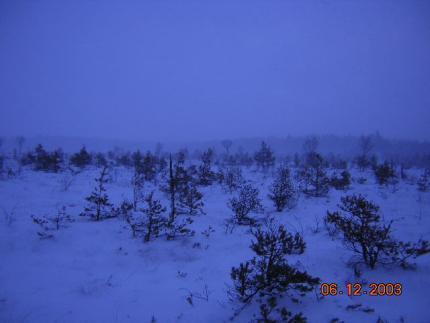 Snöstormen drar in över mossen