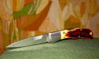 Min Spyderco Jess Horn, ATS-34, jigged bone.jpg