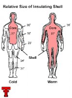 measurement-of-core-temperatureup.jpg