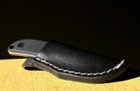 Min Kershaw 1081 Mini Skinner, i sin slida.jpg