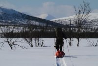 Muddus_Abisko_Turen0108.jpg