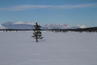 Muddus_Abisko_Turen0133.jpg