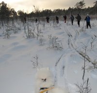 vilket naturreservat.jpg