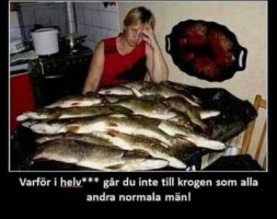 Varför i helvete.jpg