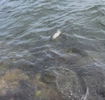 IMG_9322.jpeg