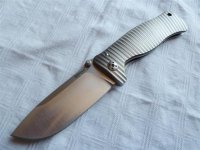 LionSteel SR-1.jpg