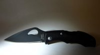 Min Spyderco Byrd BY12PBBK Starling.jpg