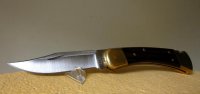 Min Buck 110 Regular Folding Hunter, 2011 års modell.jpg