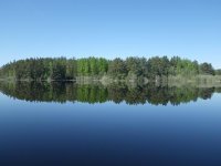 20120525  Paddelvända FF 004.jpg